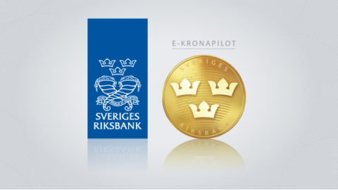 Central Bank Digital Currencies-e krona